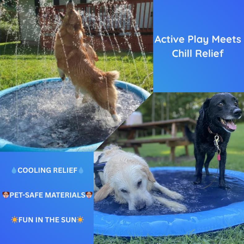 Cooling Summer Splash Pad